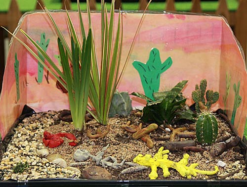 Children from various elementary schools submitted their creative garden scapes for judging.