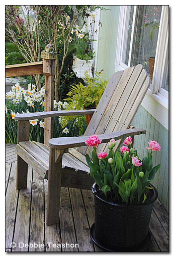Adirondack chair and tulip planter