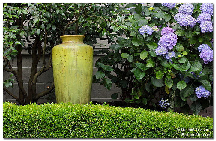 Golden pot as a  garden center piece.