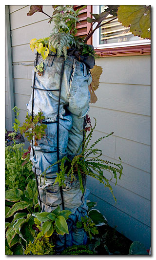 A planter made of old jeans.