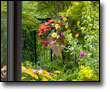 View out window into author's garden.