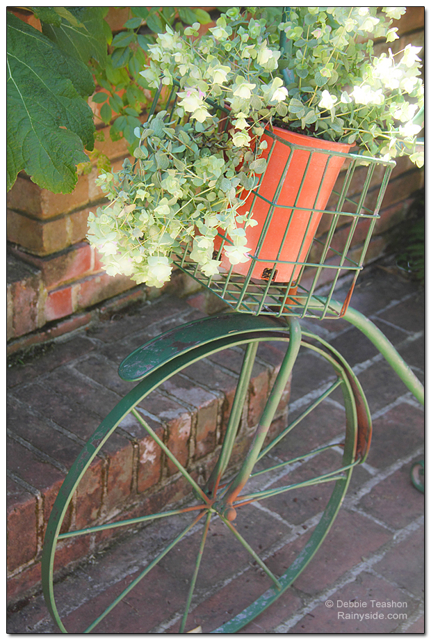 Bicycle with potted flowers