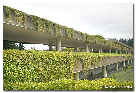 Weherhauser building covered in ivy.