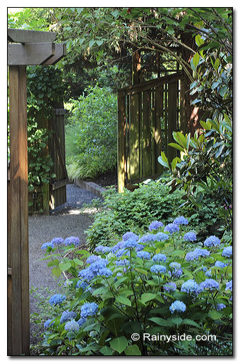 Pathway to Back Garden