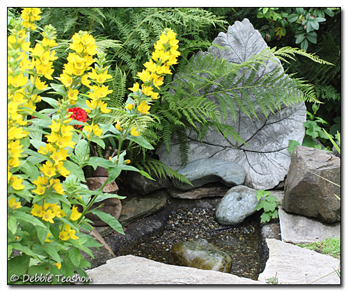 Pond with concrete leaf