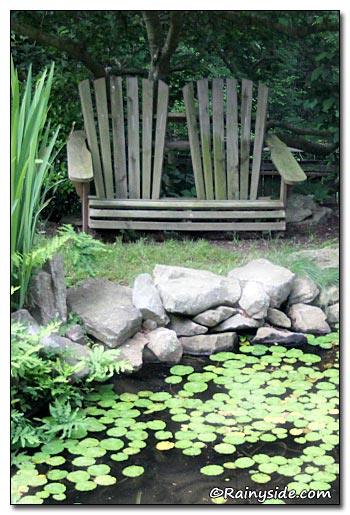A Pond and a Bench