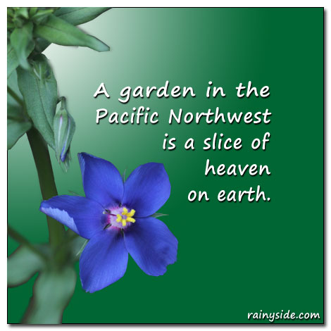 Pacific Northwest Heaven