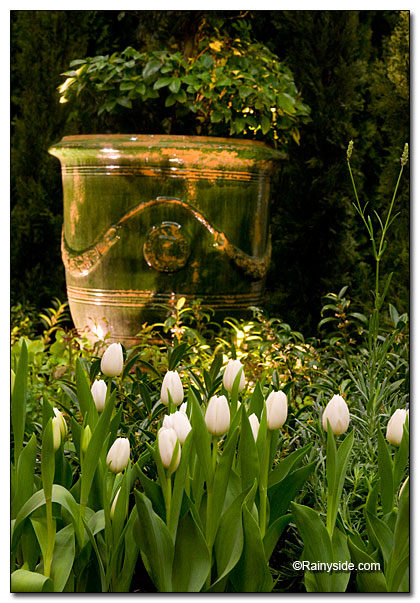 tulips and pottery tulips and pottery