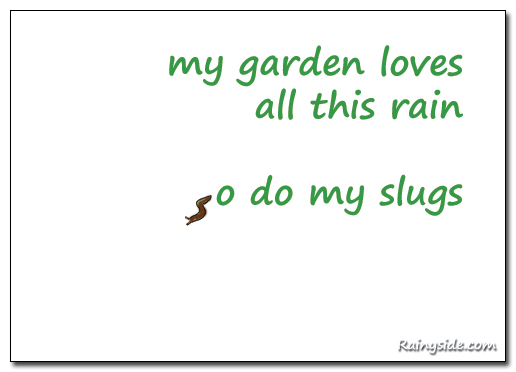 Rain slugs