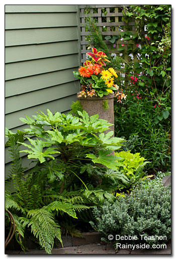 Foliage garden with container focal point.