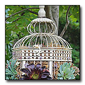 Bird Cage Planter