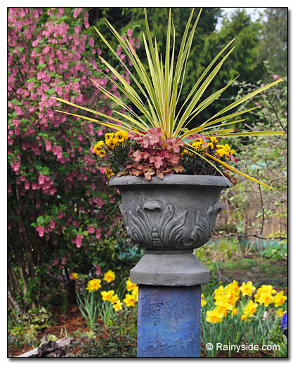 Winter to Spring container